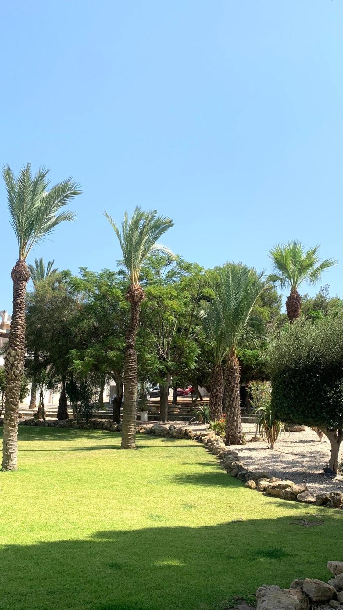 Lagovista45 Torrevieja Exteriör bild
