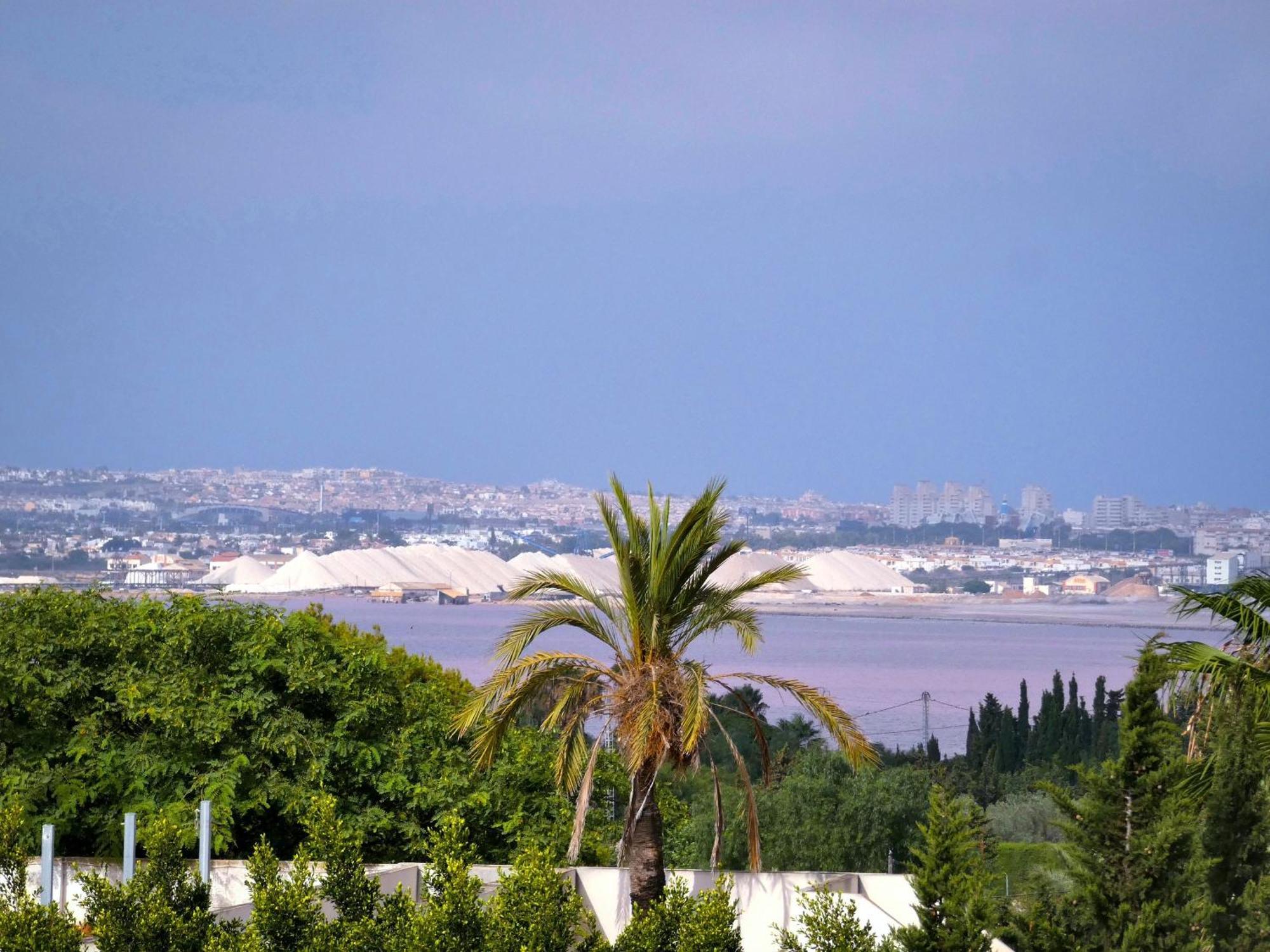 Lagovista45 Torrevieja Exteriör bild