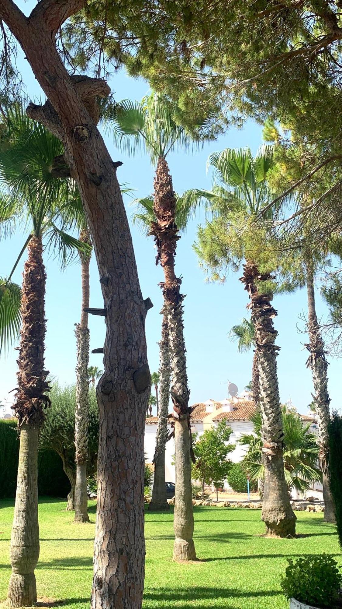 Lagovista45 Torrevieja Exteriör bild